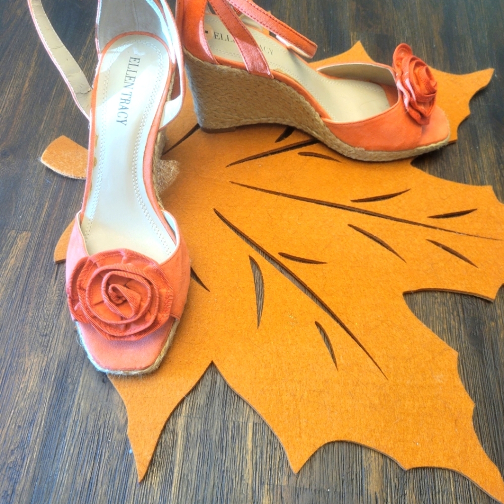Never Worn Ellen Tracy Wedges